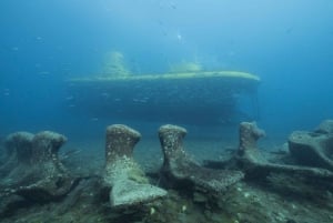 Puerto de Mogán: Submarine Tour