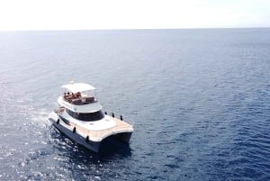 Puerto del Carmen: Catamaran Trip with Water Sports