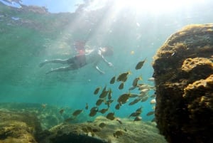 Puerto Mogán: Guided Adventure Kayak Tour in Caves & Snorkel