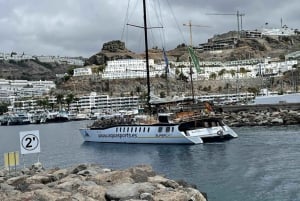 Puerto Rico : 2 hour Dolphin Catamaran Excursion