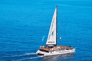 Puerto Rico : 2 hour Dolphin Catamaran Excursion