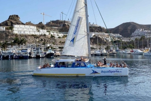 Puerto Rico: Excursión de 4 horas en catamarán por el sur
