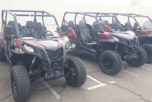 Puerto Rico de Gran Canaria: Offroad Buggy Tour