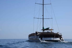 Puerto Rico de Gran Canaria: Excursión Premium en Catamarán con Delfines