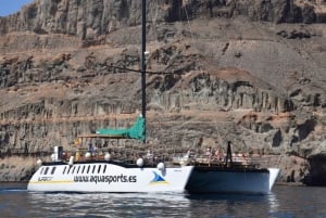Puerto Rico de Gran Canaria: Excursión Premium en Catamarán con Delfines