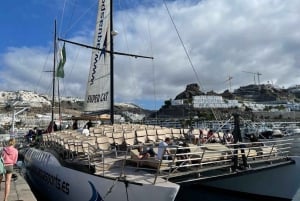 Puerto Rico de Gran Canaria: Excursión Premium en Catamarán con Delfines