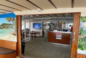 Puerto Rico de Gran Canaria: Excursión Premium en Catamarán con Delfines