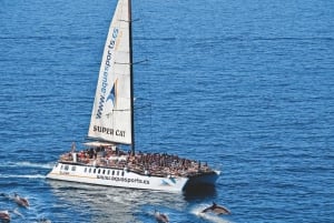 Puerto Rico de Gran Canaria: Excursión Premium en Catamarán con Delfines