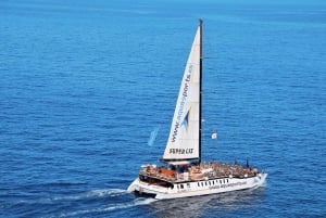 Puerto Rico de Gran Canaria: Excursión Premium en Catamarán con Delfines