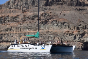 Puerto Rico de Gran Canaria: Excursión Premium en Catamarán con Delfines