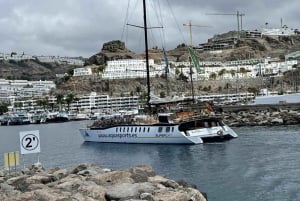Puerto Rico de Gran Canaria: Excursión Premium en Catamarán con Delfines