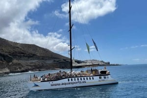 Puerto Rico de Gran Canaria: Excursión Premium en Catamarán con Delfines