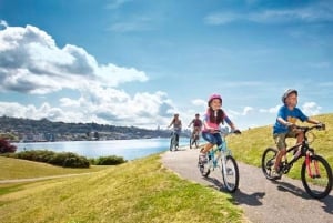 Alquila una bici urbana de 18 marchas de 4 horas a 7 días: Maspalomas