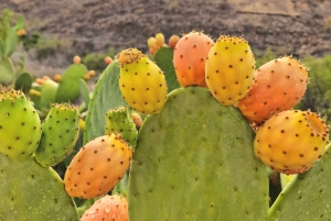 Experiencia romántica premium para parejas en Mogán, Gran Canaria.