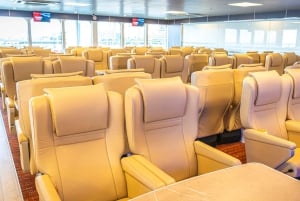 Scenic Ferry Journey Between Tenerife and Gran Canaria