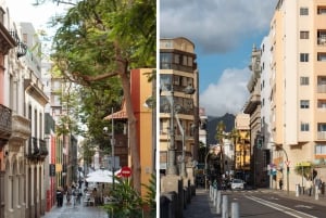 Scenic Ferry Journey Between Tenerife and Gran Canaria