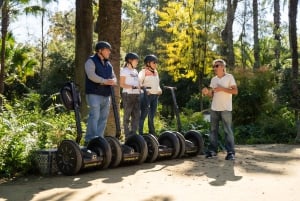 Seville City Tour: 2-Hour Monumental Segway Tour