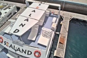 Southeast Fuerteventura: Boat Cruise with Lunch and Drinks