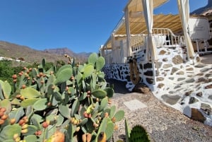 Cata de embutidos y vinos en Mogán