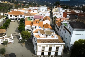 Mercadillos de Domingo: Santa Brígida, San Mateo y Teror