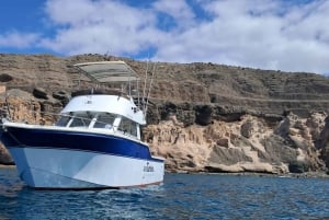 Sunset Dolphin Watching Tour on Hybrid Boat in Small Group