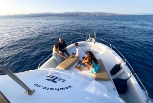 Sunset Dolphin Watching Tour on Hybrid Boat in Small Group