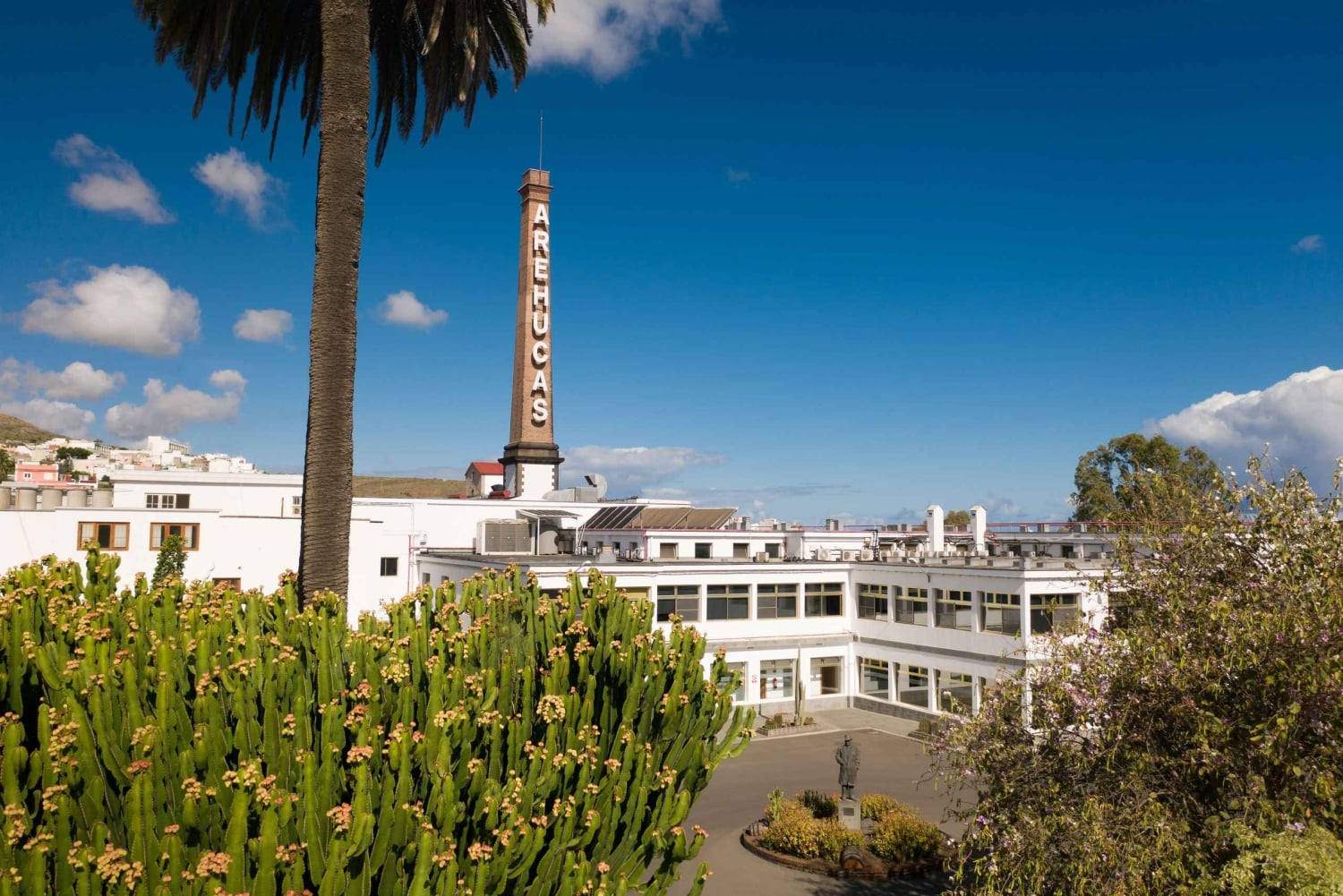 Tastes of Gran Canaria A Day of Flavours and Culture