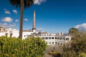 Tastes of Gran Canaria A Day of Flavours and Culture