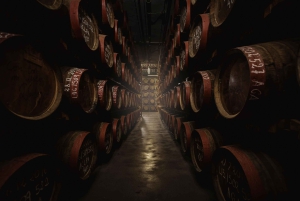 Tastes of Gran Canaria A Day of Flavours and Culture