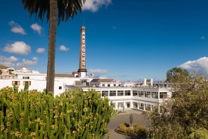 Tastes of Gran Canaria A Day of Flavours and Culture