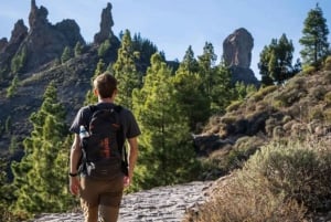 Tejeda: Roque Nublo Base Camp Xperience: Hike, Picnic & More