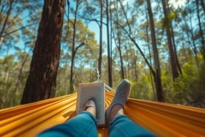 Tejeda: Roque Nublo Base Camp Xperience: Hike, Picnic & More