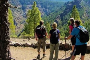 Tejeda: Roque Nublo Base Camp Xperience: Hike, Picnic & More