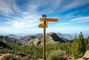 Tejeda: Roque Nublo Base Camp Xperience: Hike, Picnic & More