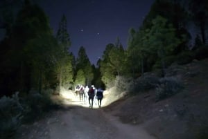 Tejeda: Sunset & Night Sky Guided Astronomy Hiking Tour