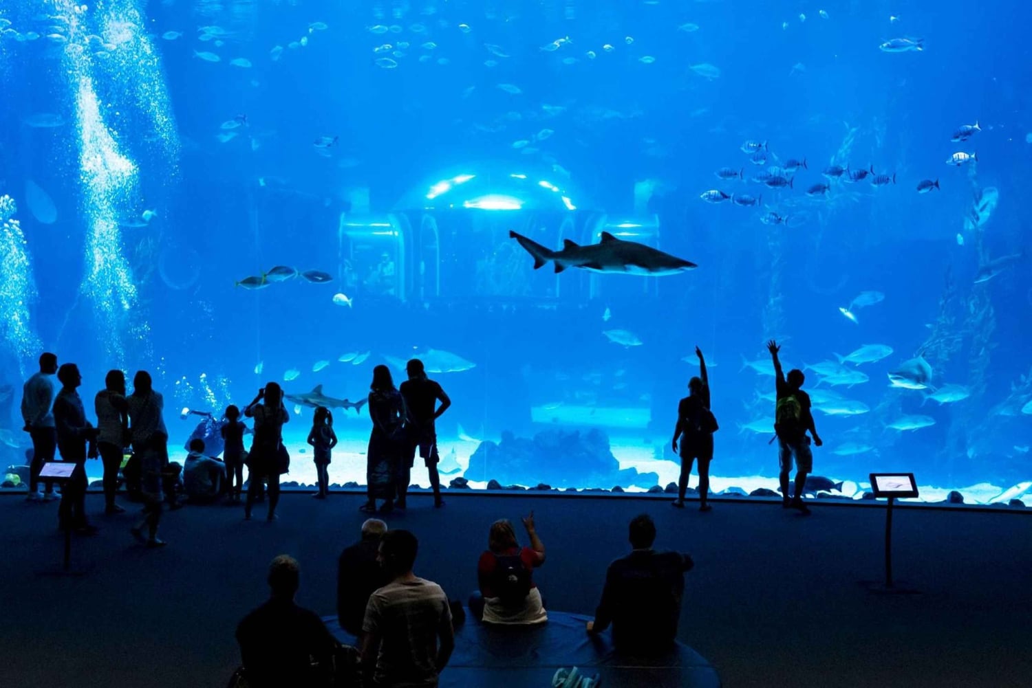 Tenerife: Gran Canaria Full-Day Guided Tour with Aquarium