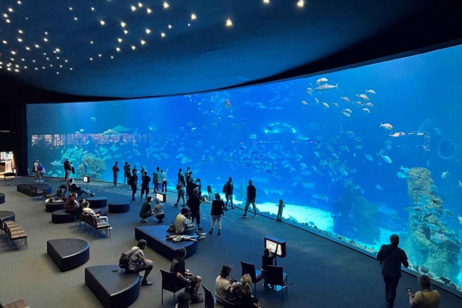 Tenerife: Gran Canaria Full-Day Guided Tour with Aquarium