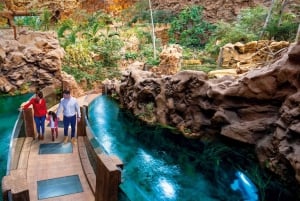 Tenerife: Gran Canaria Full-Day Guided Tour with Aquarium