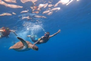 Tenerife: Safari en kayak con snorkel y aperitivos