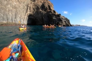 Tenerife: Safari en kayak con snorkel y aperitivos