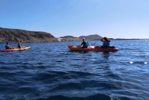 Tenerife: Safari en kayak con snorkel y aperitivos