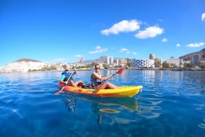 Tenerife: Safari en kayak con snorkel y aperitivos