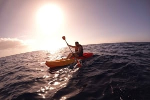 Tenerife: Safari en kayak con snorkel y aperitivos