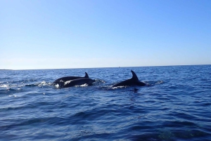 Tenerife: Safari en kayak con snorkel y aperitivos