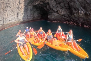 Tenerife: Safari en kayak con snorkel y aperitivos