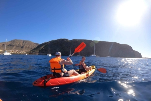 Tenerife: Safari en kayak con snorkel y aperitivos