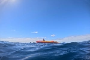 Tenerife: Safari en kayak con snorkel y aperitivos