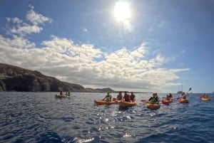 Tenerife: Safari en kayak con snorkel y aperitivos