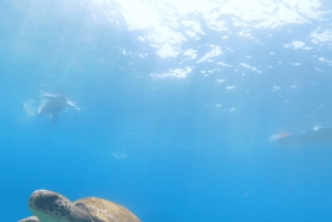 Tenerife: Safari en kayak con snorkel y aperitivos
