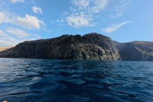 Tenerife: Safari en kayak con snorkel y aperitivos
